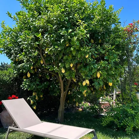 Maison Angela 4*