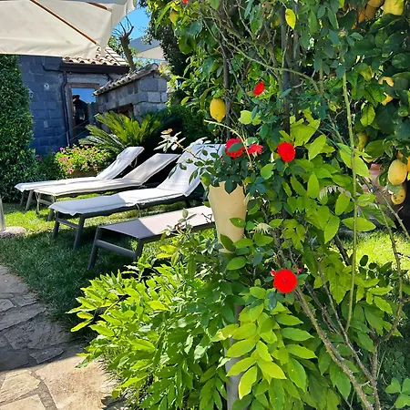 Bed & Breakfast Maison Angela