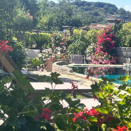 Bed & Breakfast Maison Angela SantʼAgata sui Due Golfi